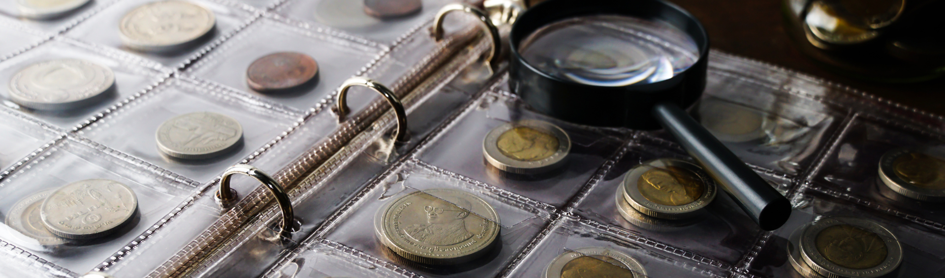 Album de pièces avec loupe