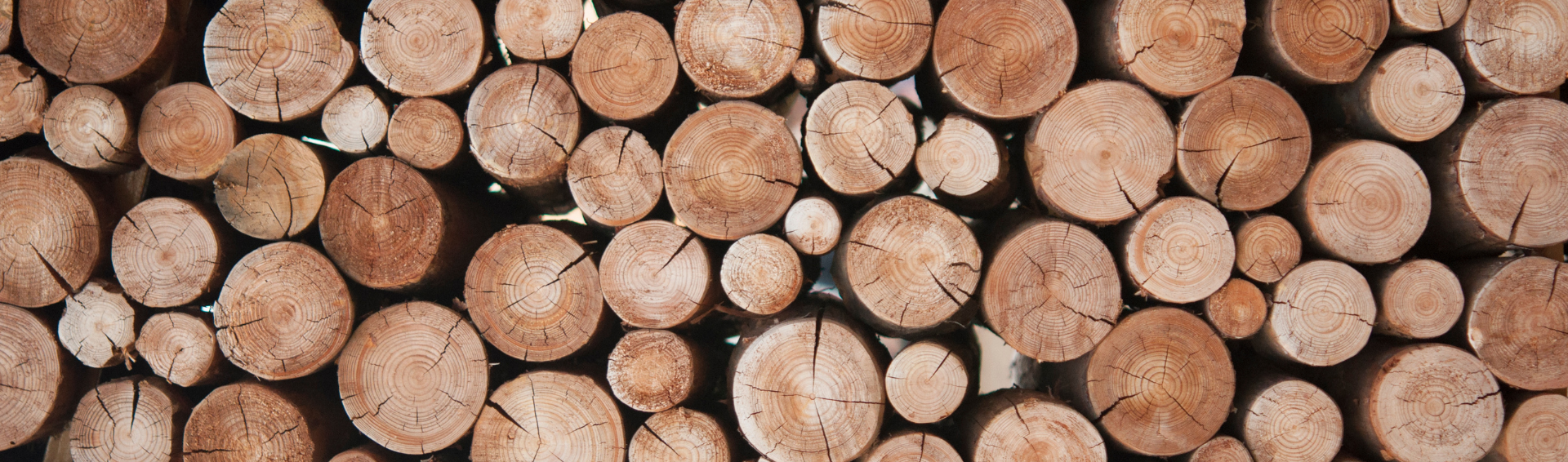 Bûches de bois empilées soigneusement.