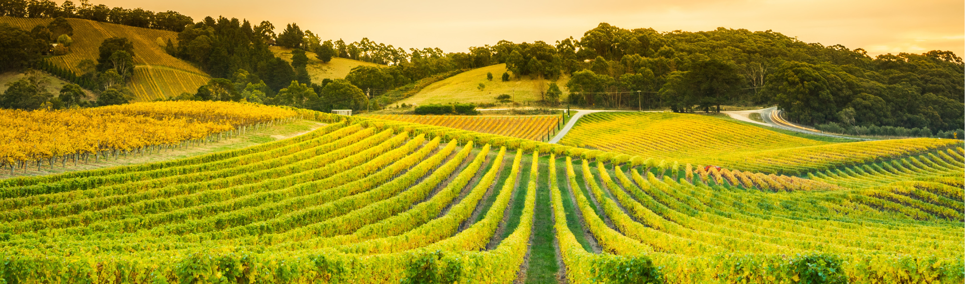 Un site vitrine raffiné pour <span>révéler un domaine d’exception </span>